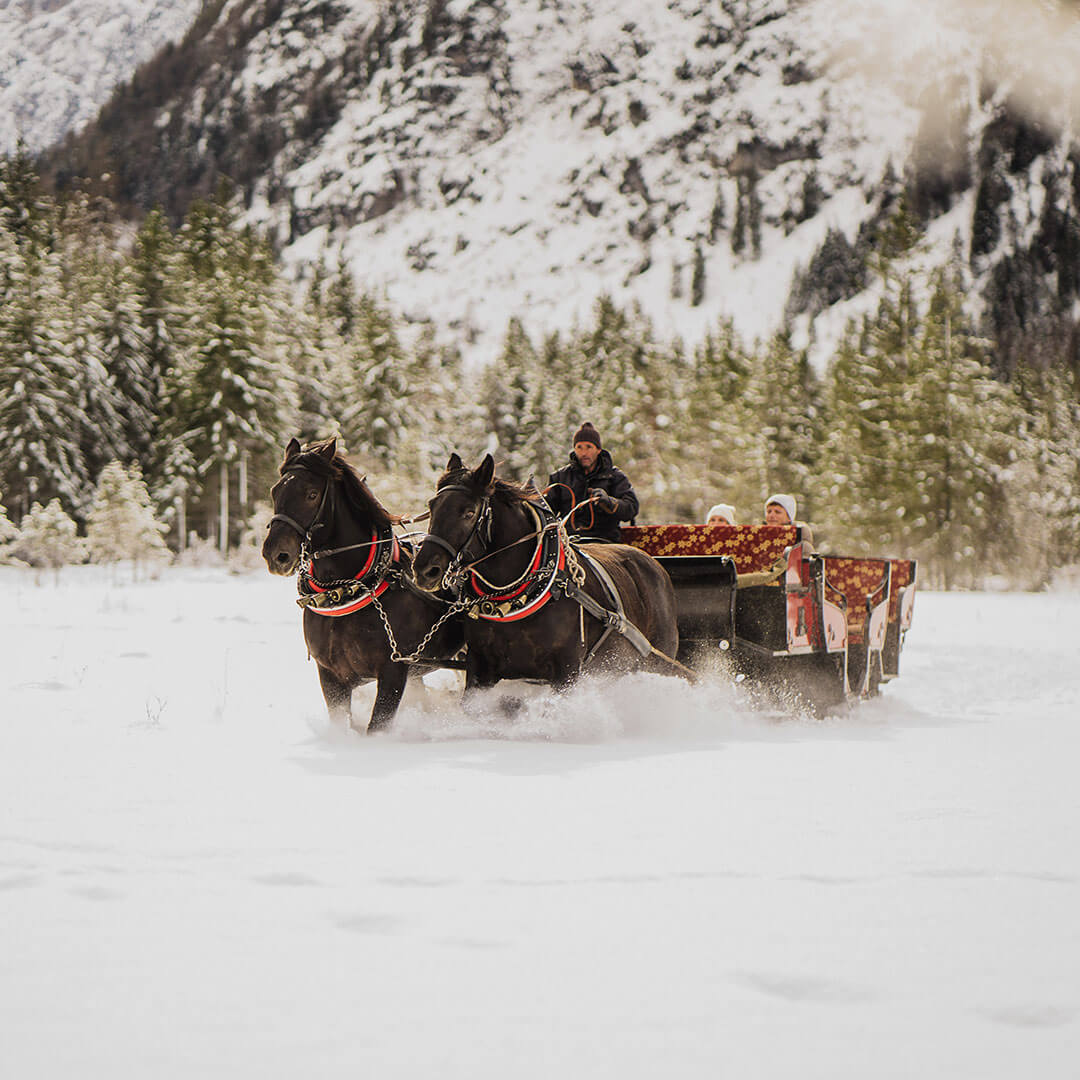 Uscita romantica - giro in carrozza